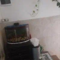 فروش خانه|فروش آپارتمان|اصفهان, ناصرخسرو|دیوار