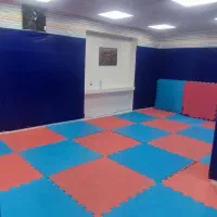 اجاره سانس سالن رزمی و ژیمناستیک|اجارهٔ کوتاهمدت دفتر کار و فضای آموزشی|همدان, |دیوار