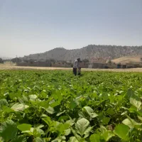 مساحی و نقشه برداری