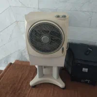 کولر سولولوزی