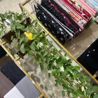 واگذاری گالری سارُاستایل