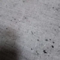 سیم کارت 0915 مشهد