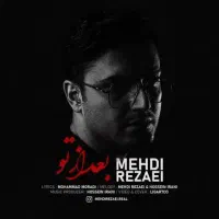 ترانه و ملودی حرفه ای