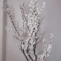 درخت شکوفه|گل مصنوعی|ایذه, |دیوار