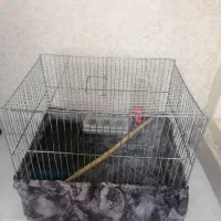 قفس پرنده