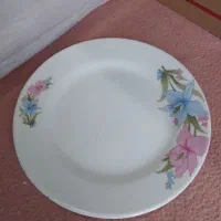 ظرف