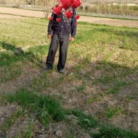 زمین کشاورزی