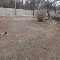 زمین-600-متری-علی-آباد-رباط-کریم