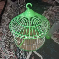 قفس کوچک