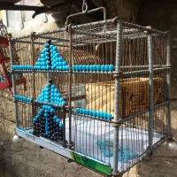 قفس دکور دستبافت سهره|لوازم جانبی حیوانات|شهریار, شهرک امیریه|دیوار