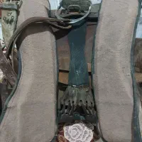 زین دهنه اسب|اسب و تجهیزات اسبسواری|مرودشت, تخت جمشید|دیوار