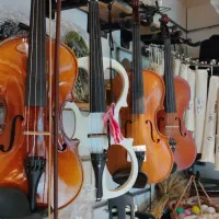 ویولن|ویولن|بندرعباس, |دیوار