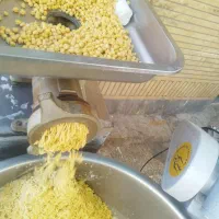 کارگر ساندویجی