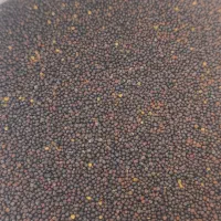 کلزا هیولا 50بوجاری دانه درشت