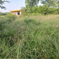 زمین-خوش-قواره