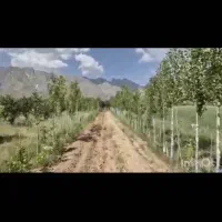 زمین 2 هکتار فریدن|فروش زمین و ملک کلنگی|زنده رود, |دیوار