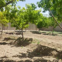 فروش باغ ۵۰۰ متر منطقه باغی قهجاورستان|فروش خانه و ویلا|اصفهان, قلعه نو|دیوار