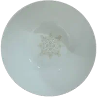 سرویس ۲۶ پارچه آرکوپال دینو