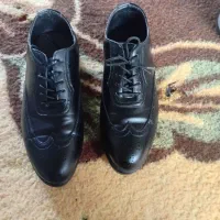 کفش ملی|کیف، کفش، کمربند|مرودشت, مختارآباد|دیوار