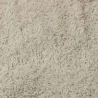 برنج فجر|خوردنی و آشامیدنی|زرندیه, |دیوار