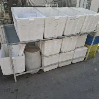 یخدان مرغ و ماهی