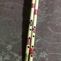 فروش تکی و جمله ای نی دندونی نصف قیمت