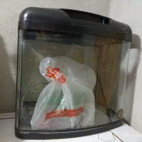 آکواریوم