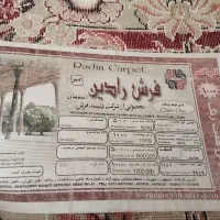 فروش  فرش ۵۰۰ شانە|فرش|مهاباد (آذربایجان غربی), |دیوار