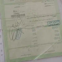 گمشده