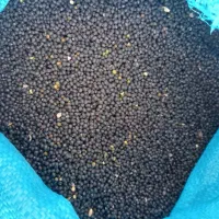 ماش گندی