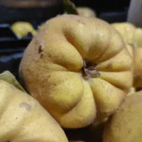 فروش به مربایی شیرین آبدار ارگانیک اصفهان