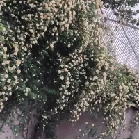 کارای تمیز کردن خونه پله ویلا خودتونو به ما بسپاری