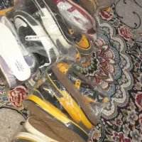 کفش|کیف، کفش، کمربند|اسفراین, |دیوار