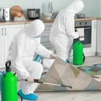 سم پاشی /10سال سابقه/ضمانت نامه کتبی/فاکتور رسمی