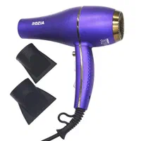 محصولات برند روزیا.سشوار..اتو مو.برس حرارتی و غیره|آرایشی، بهداشتی، درمانی|شیراز, بازار|دیوار