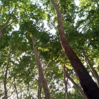 اجاره-مغازه