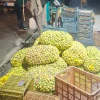 نیازمند نیروی کار