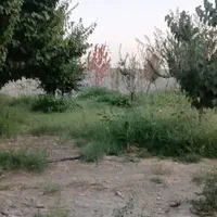 زمین ۲۷۰ متری منزل آباد/دور دیوار/بلوارمهدیه|فروش زمین و ملک کلنگی|مشهد, منزل آباد|دیوار