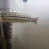 ماهی چانا سرماری