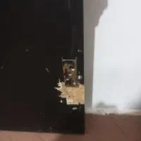 تخت دو نفره|تخت و سرویس خواب|گلبهار, شهر جدید گلبهار|دیوار