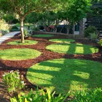 کاشت فضای سبز