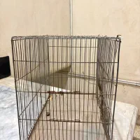 قفس|لوازم جانبی حیوانات|کرج, کیانمهر|دیوار