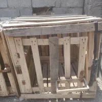 قفس|لوازم جانبی حیوانات|میناب, |دیوار