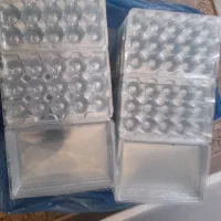 فروش ظرف بسته بندی تخم بلدرچین