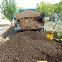 کودحیوانی پوسیده گاوی وگوسفندی وگونی  موجوده است