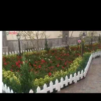 خدمات باغبانی باغچه کاری چمن کاری|خدمات باغبانی و درختکاری|پردیس, فاز ۸|دیوار