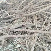 برش درخت وخریدانواع چوب درمحل شما