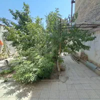 خانه کلنگی آفاران|فروش خانه و ویلا|اصفهان, برزان|دیوار