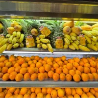 صندوقدار شیفت شب و کارگر ساده