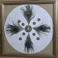 پک محافظتی